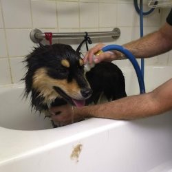 Full-Bath-&-Brush